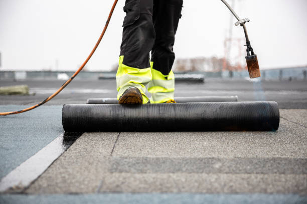 Best Roof Moss and Algae Removal  in Welch, WV